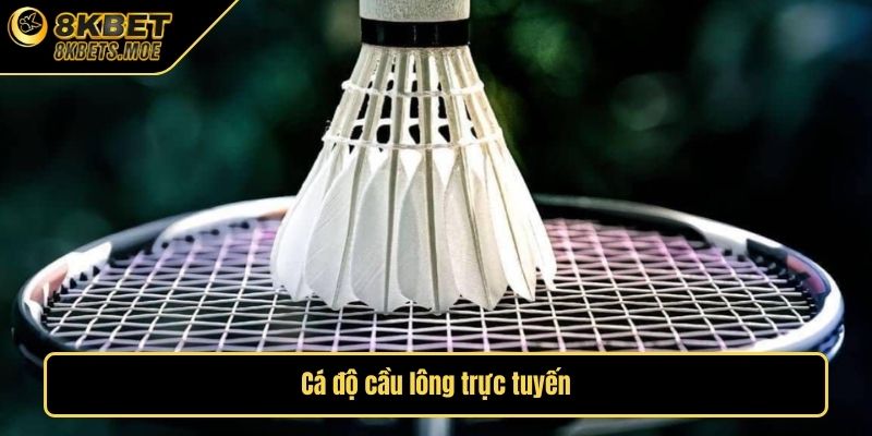 Cá độ cầu lông trực tuyến